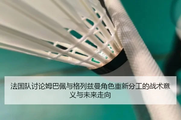 法国队讨论姆巴佩与格列兹曼角色重新分工的战术意义与未来走向 | okooo