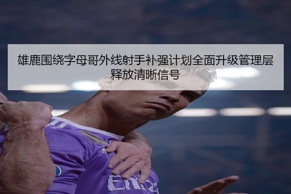 雄鹿围绕字母哥外线射手补强计划全面升级管理层释放清晰信号 - okooo
